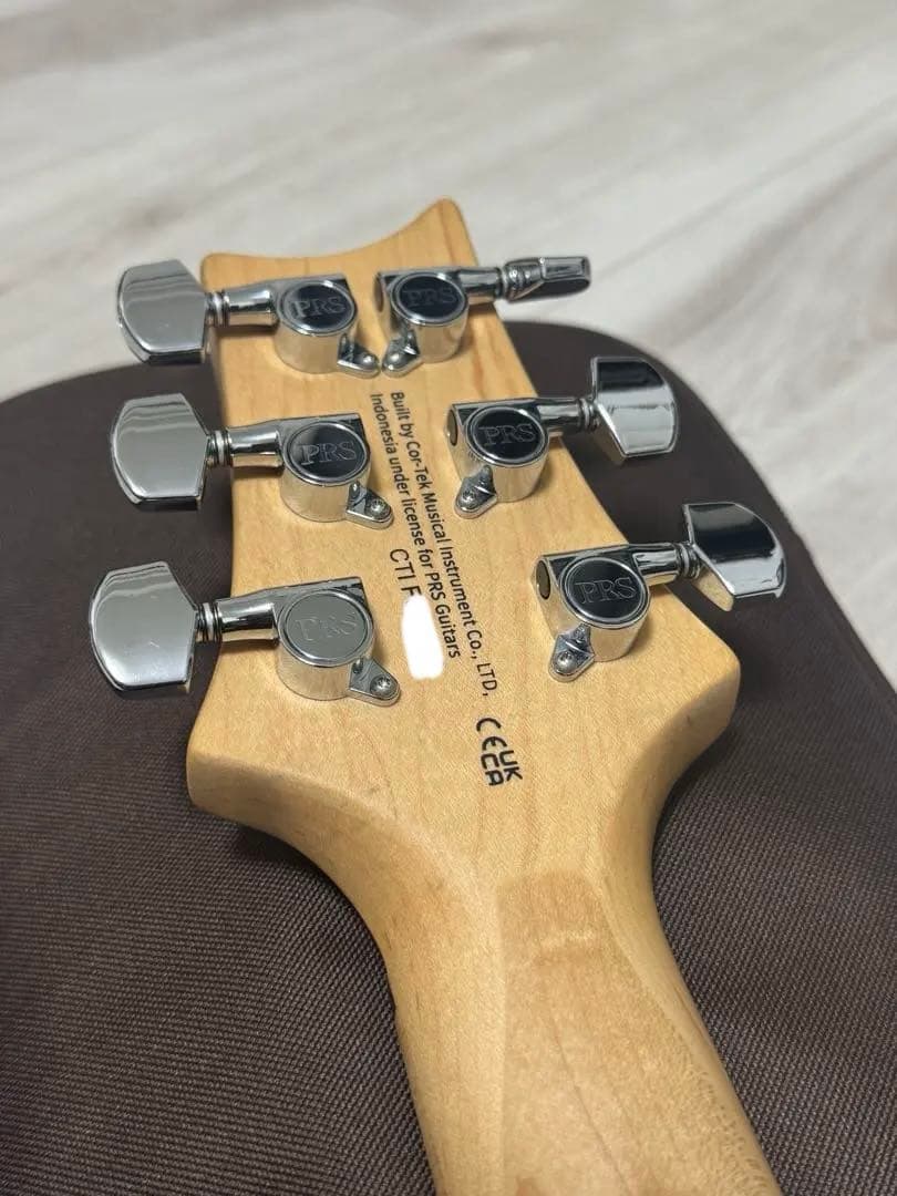PRS SE Swamp Ash Special【中古】