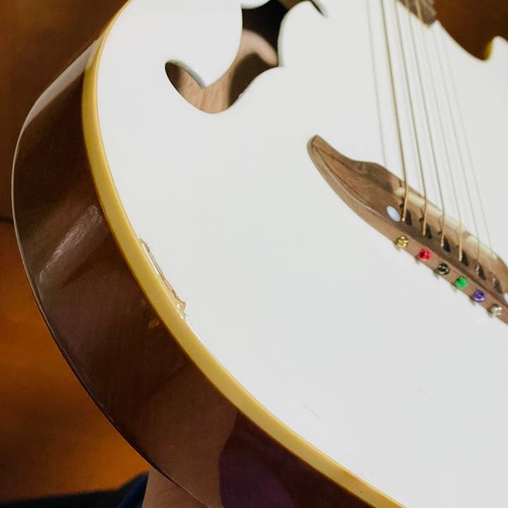 シェクター、Schecter　オリエンタルラインOL-FL/WHT　エレアコ