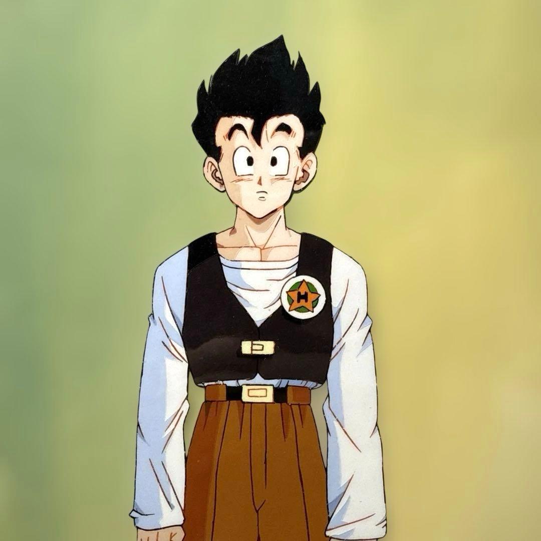 メ*ロ様 ドラゴンボールZ 大判セル画 孫悟飯