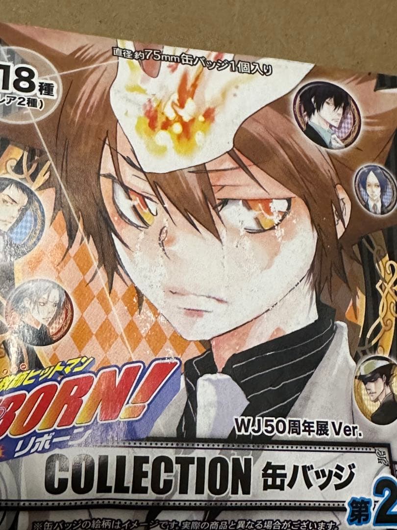 家庭教師ヒットマンREBORN! 缶バッジ WJ50周年展 沢田綱吉 ツナ