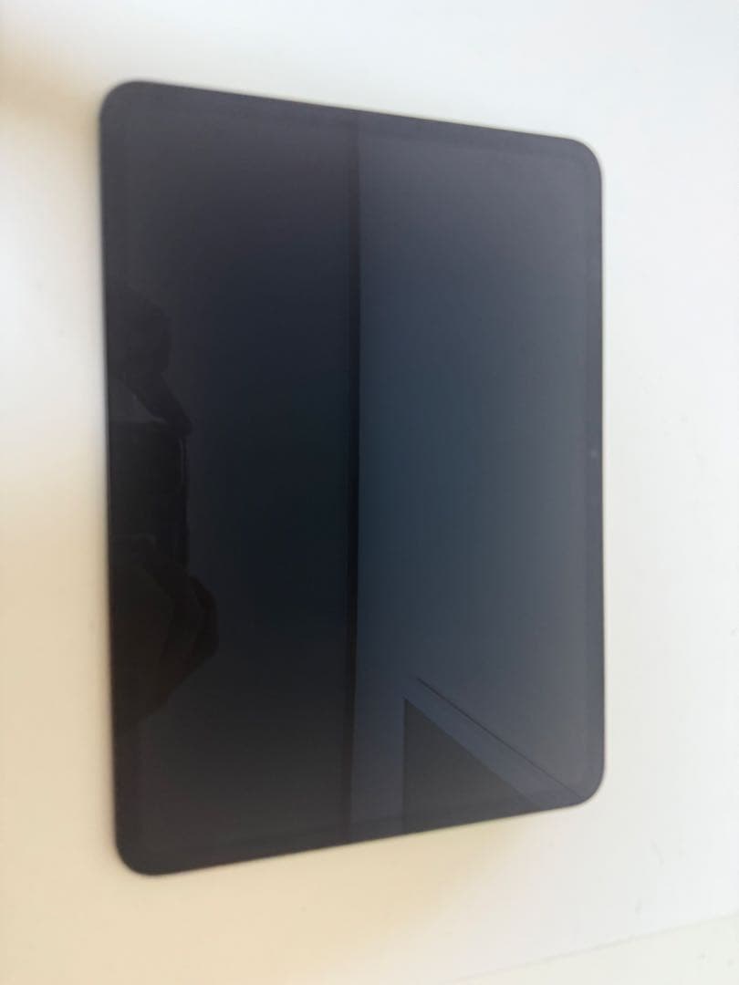 iPad本体 rio