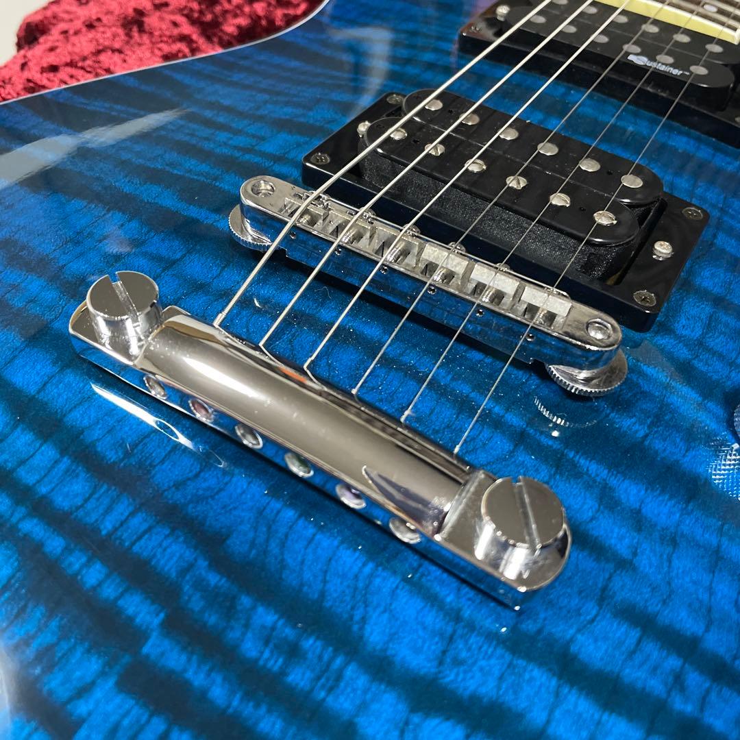 美品　フェルナンデス　APG -55S Blue