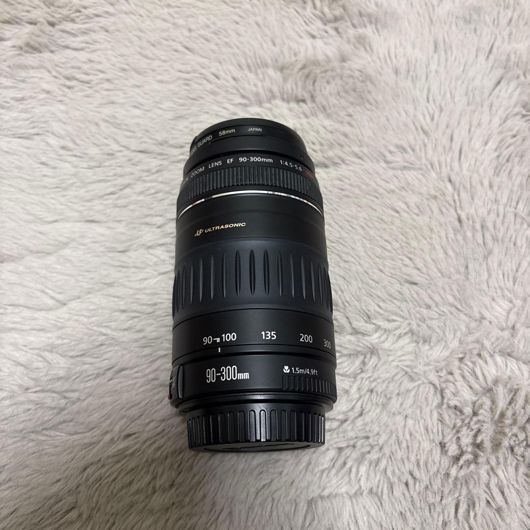Canon EF 90-300mm ズームレンズ