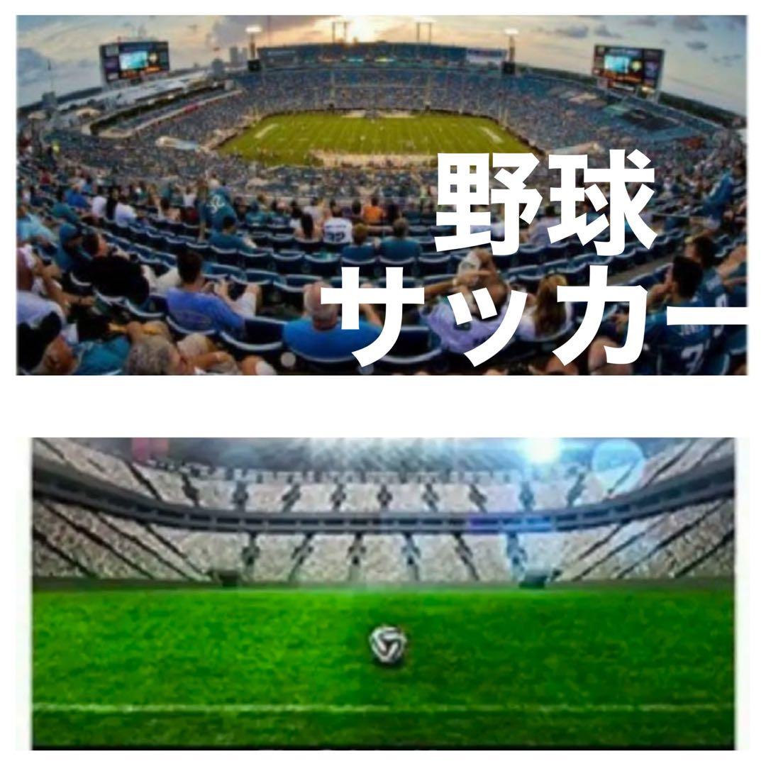 OLYMPUSとPanasonicのミラーレスカメラに対応！詳しくは下を見てね！