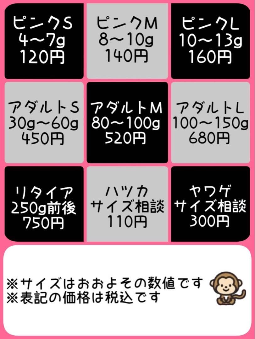冷凍ラット30g〜40g 40匹セット！