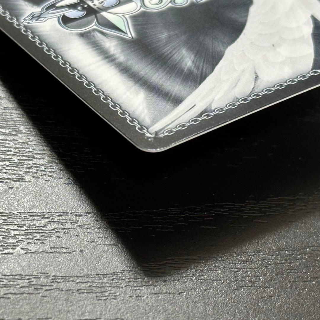 WS B小町 ルビー ssp