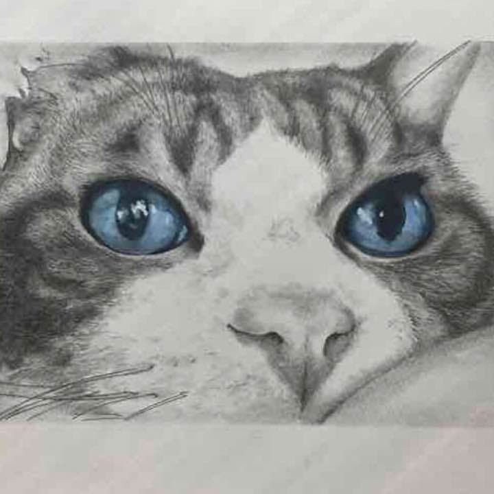 似顔絵イラスト  オーダー  sample