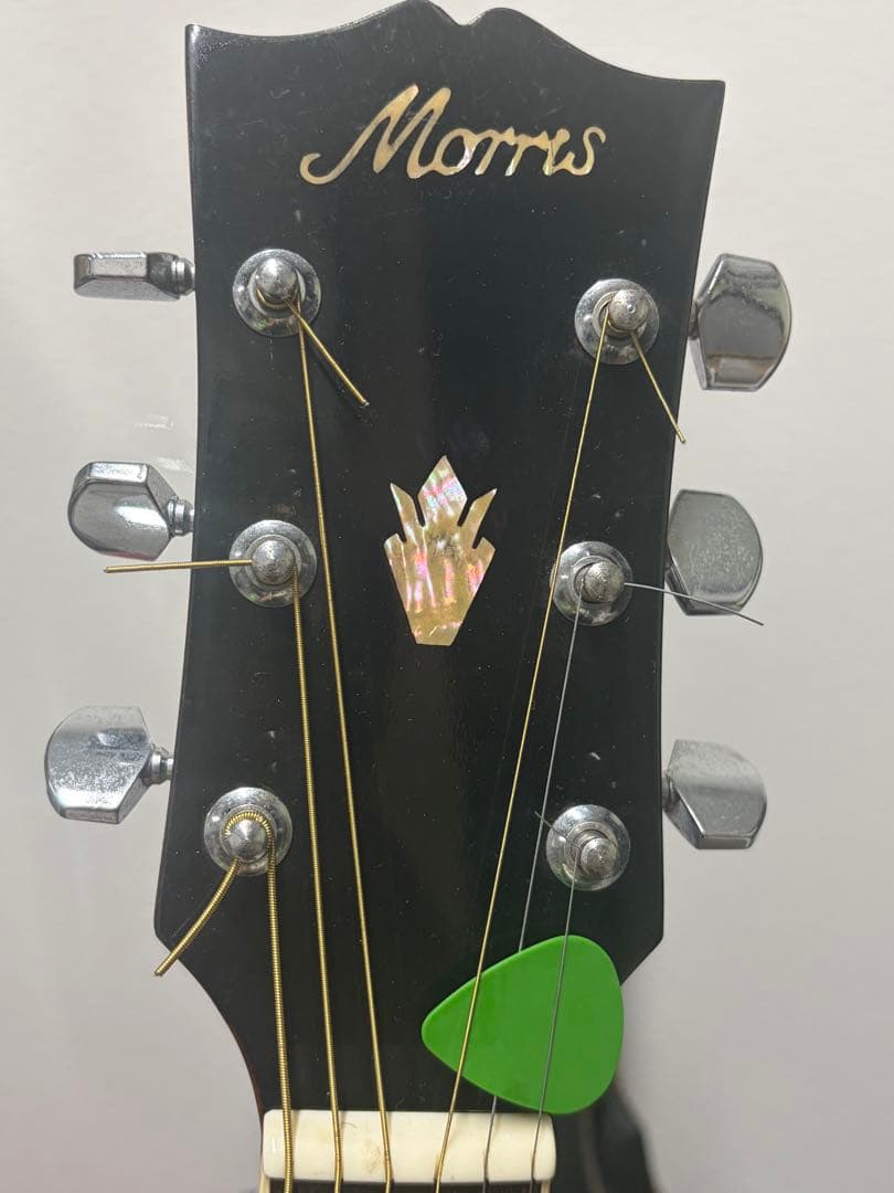 MORRIS ハミングバードDOVE WD−25 チェリーサンバースト