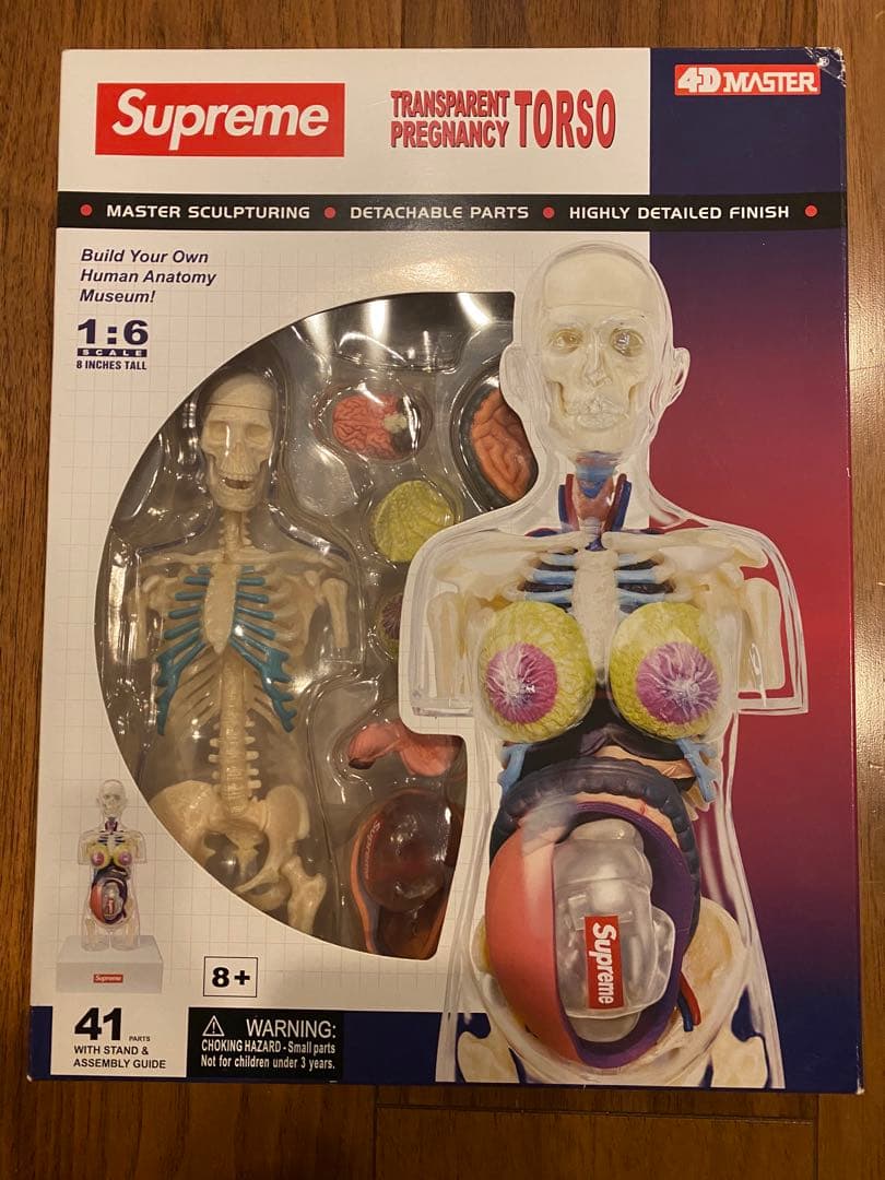 シュプリーム Female Anatomy Model