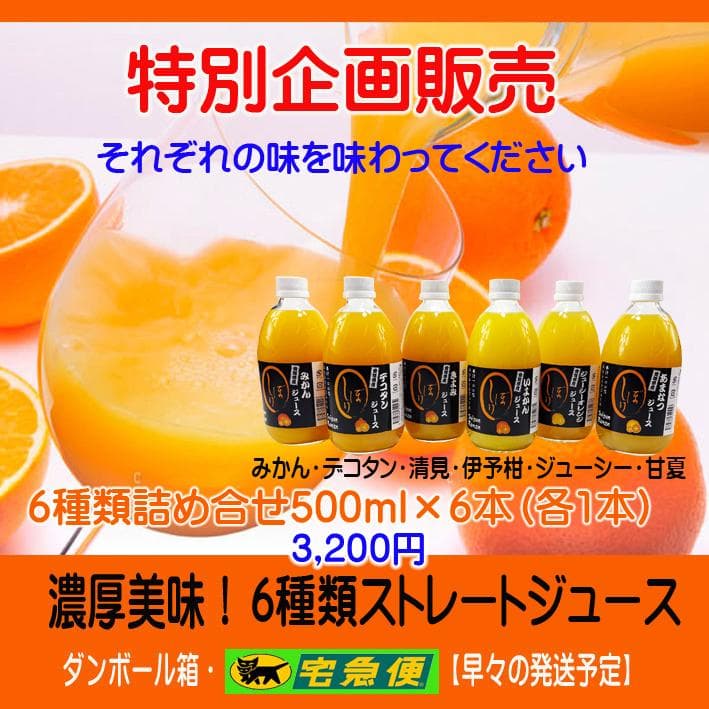【ももこ】6種類詰合せ×6本+SUIGUNマドンナM6.5Kg