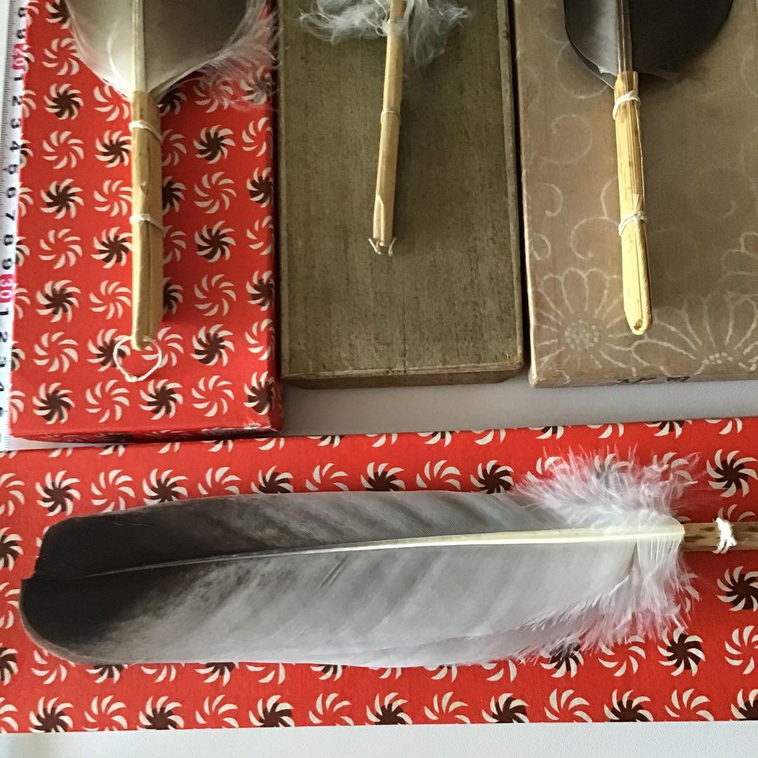 羽箒