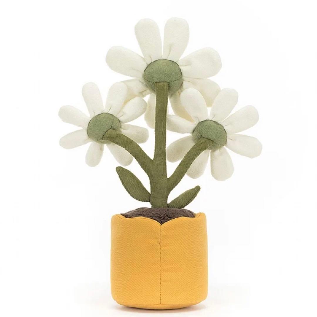 新品　ジェリーキャット　デイジー　花　観葉植物　インテリア　雛菊　ヒナギク