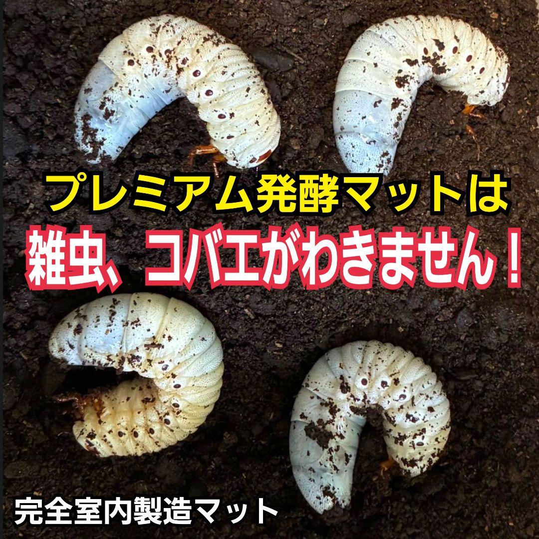 カブトムシ幼虫が巨大化！プレミアム3次発酵マット【70リットル】産卵にも抜群！