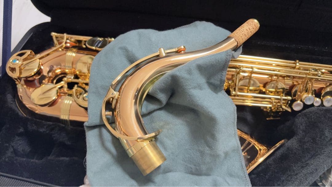 ヤナギサワ　テナーサックス　T-WO02 Tenor Saxphone