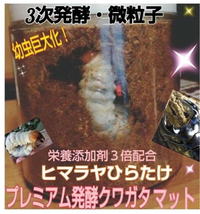 ミヤマクワガタ、ノコギリ幼虫に抜群！800mlボトル入プレミアム発酵マット20本