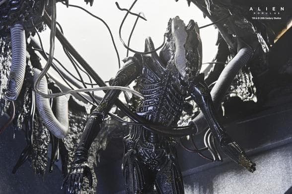 【NECA】新品 正規品 エイリアン:ロムルス ゼノモーフXX121 デラックス