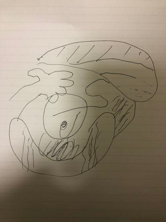 絵画 illusion