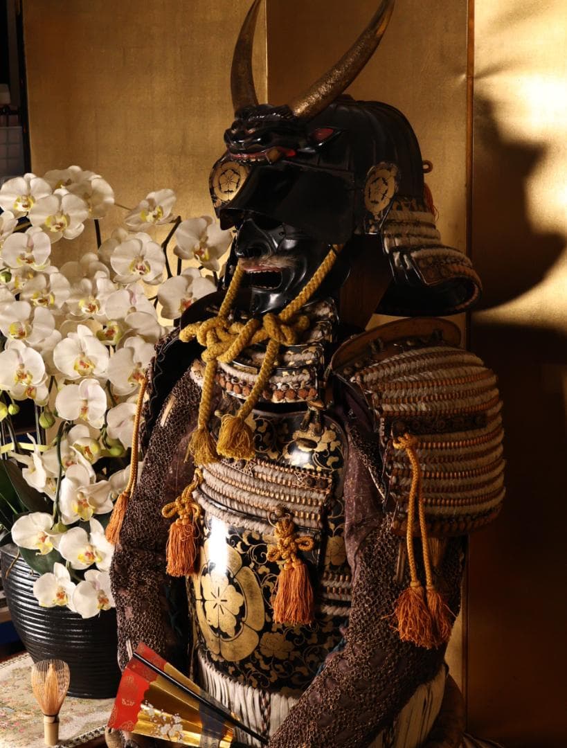 BY05　甲冑　具足　五瓜に唐花家紋唐草胴　獅子噛み前立　鎧櫃付き　兜　武具