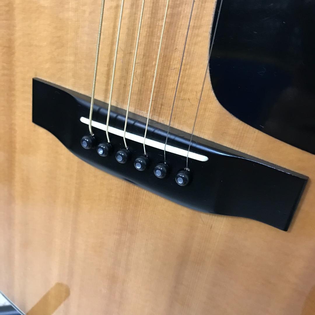 美品 整備品 MORRIS TF-801 アコースティックギター ハードケース付