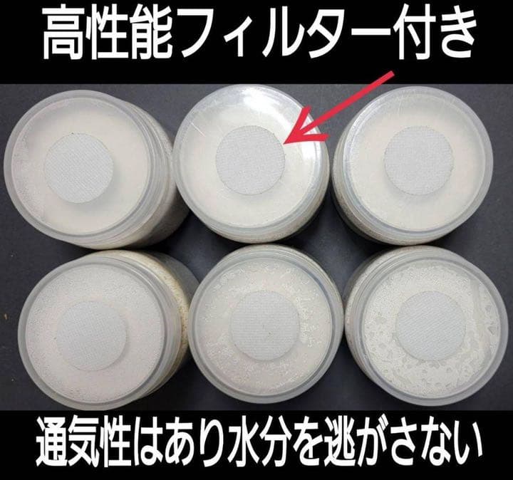極上！黒アワビタケ菌糸瓶【8本】初令、2令に最適なサイズ！ニジイロクワガタに！