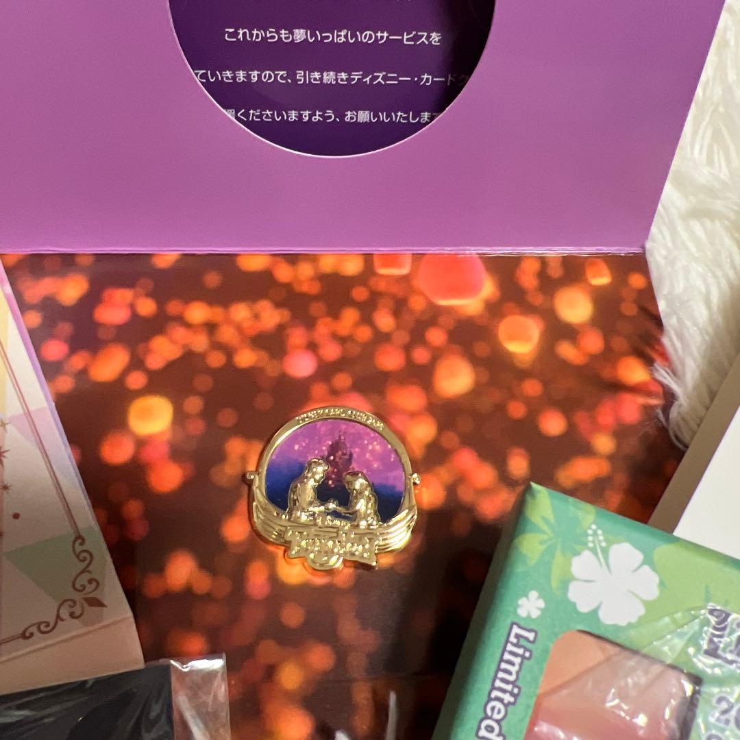 ディズニー　ピンバッジ
