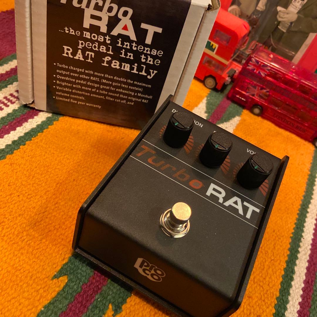 ProCo Turbo RAT 現行品　極美品