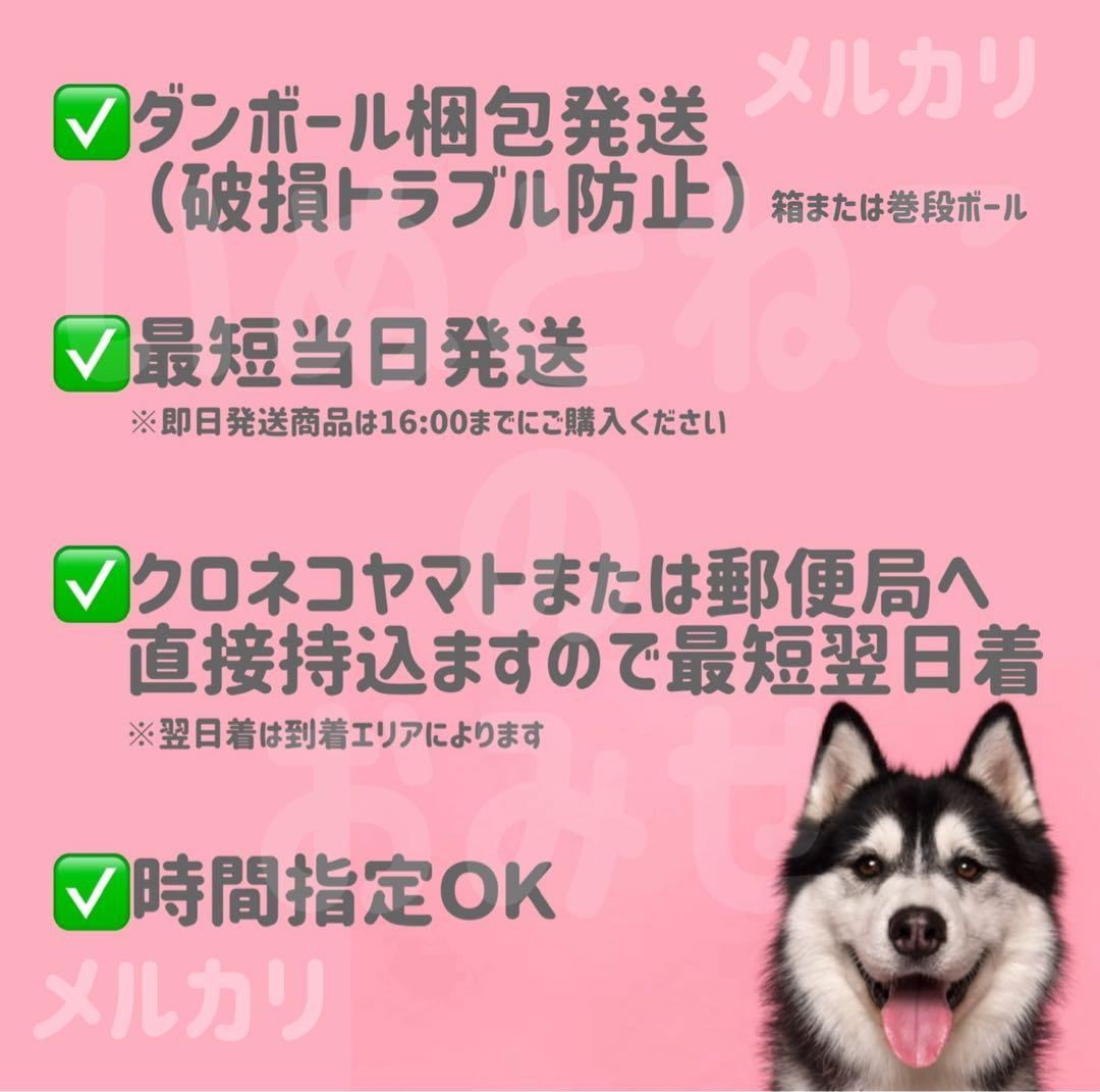 即日発送【15kg】★中粒★セレクトバランス アダルトチキンドッグフード