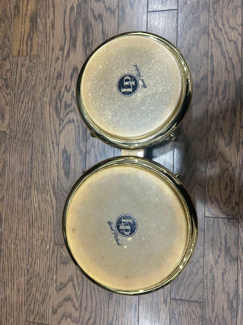 LP GENERATION II PROFESSIONAL ボンゴ　ケース付属品