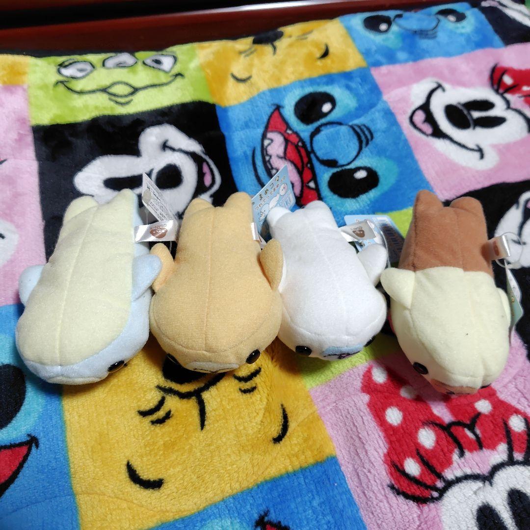 ぷ*に様 まめゴマ　つれてってまめゴマ　マスコット　ぬい活　サンエックス　San