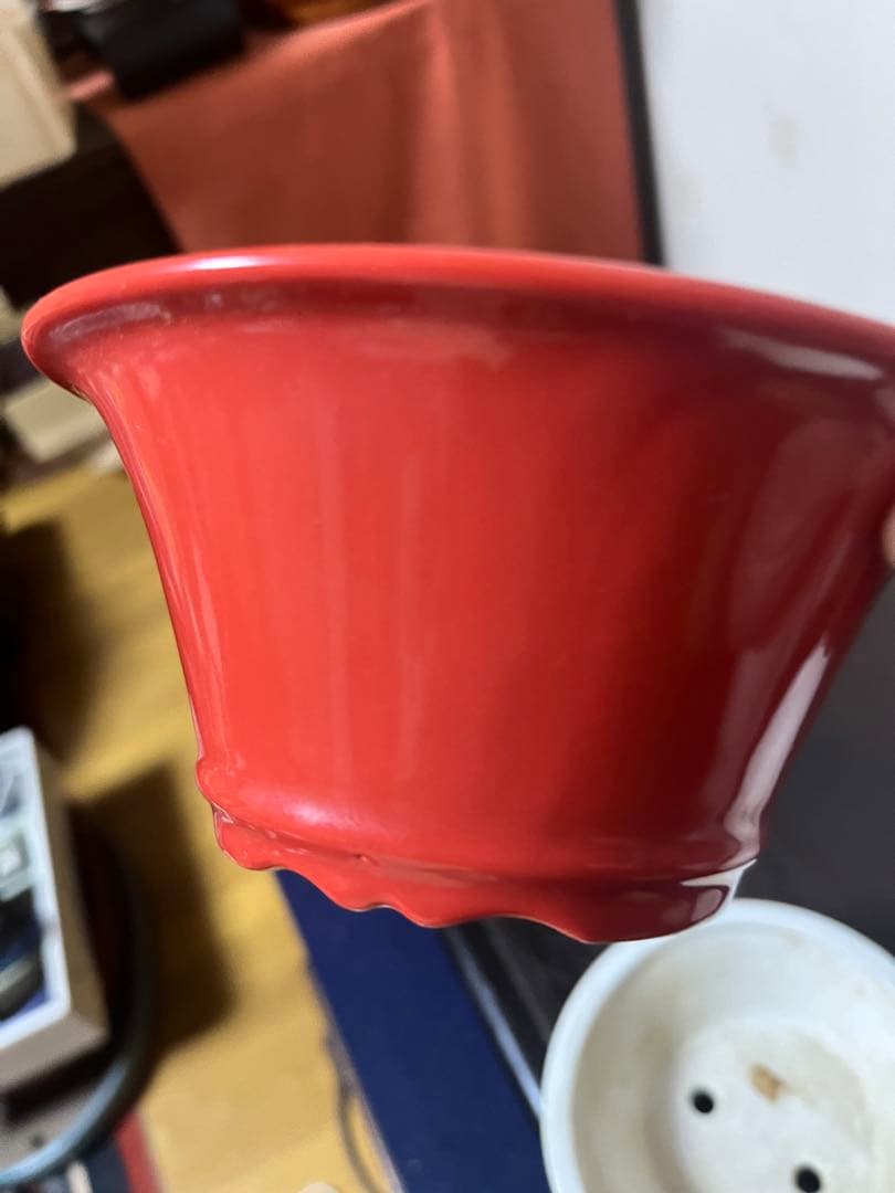 380 盆栽　盆栽鉢　植木鉢　中国鉢　3鉢