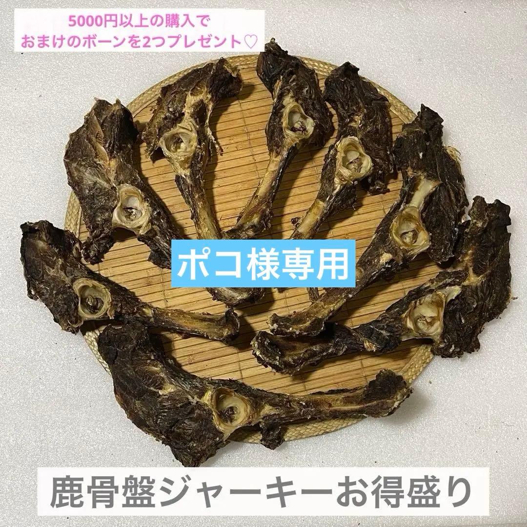 ポコ