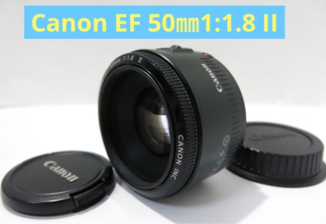 単焦点レンズ　キャノン　Canon EF 50㎜1:1.8 II☆ボケ味