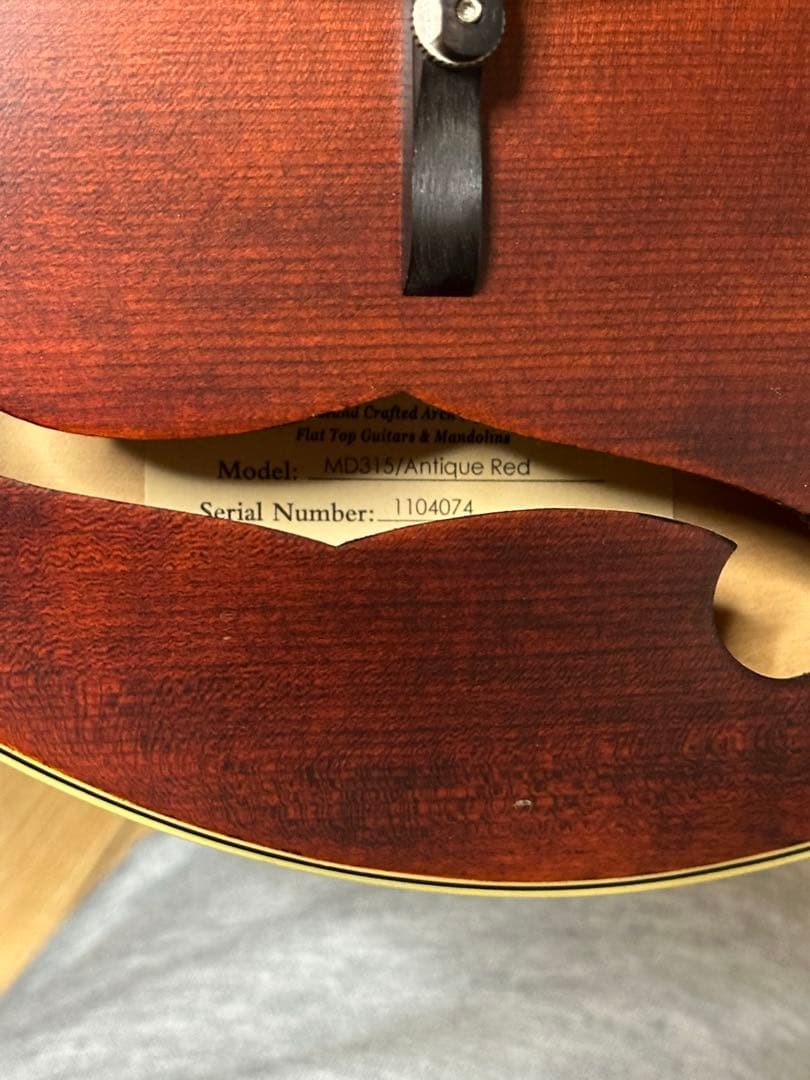 弦楽器 Eastman MD315/Antique Red