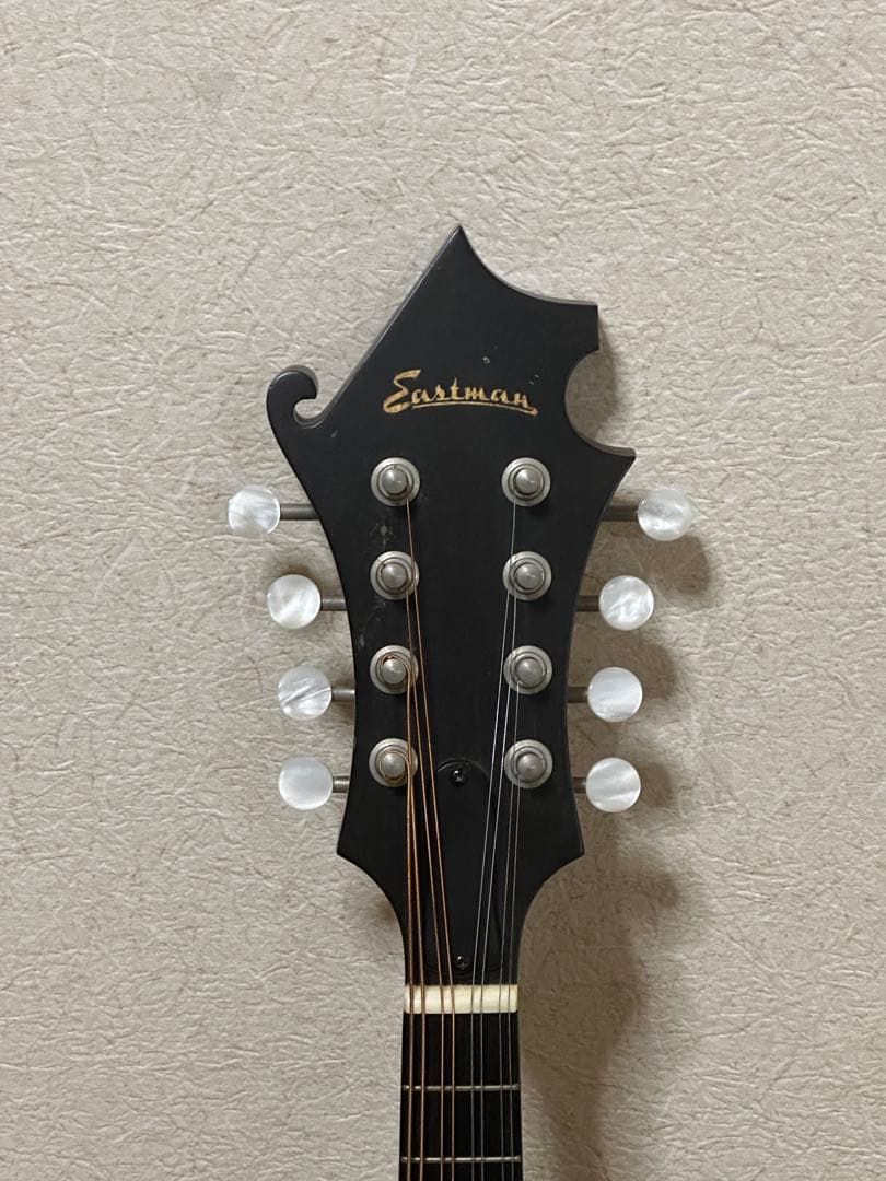 弦楽器 Eastman MD315/Antique Red