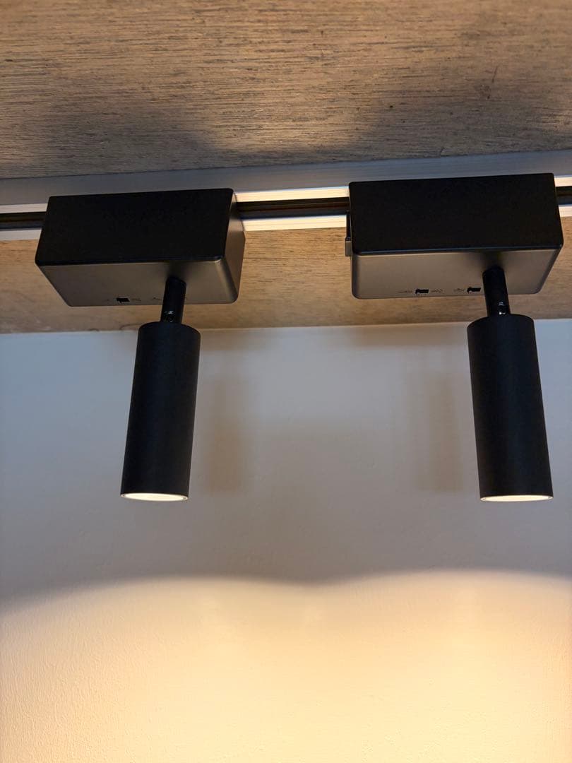 ART WORK STUDIO スポットライト ブラック　2個セット