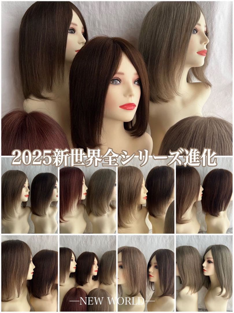 2025新世界ウィッグ高級人毛100% レミー人毛【総手植え】 S Sサイズ