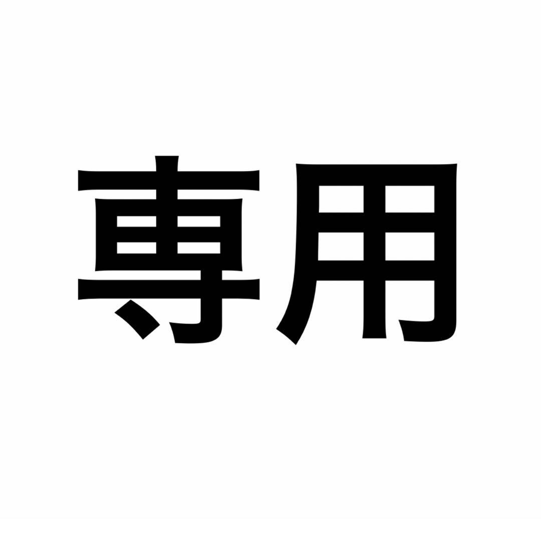 専用③