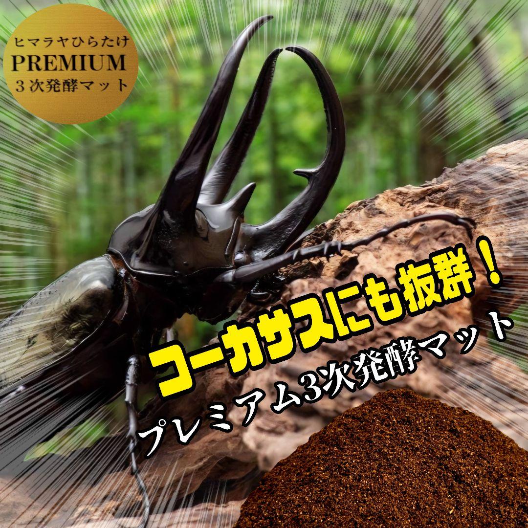 カブトムシ幼虫が巨大化！プレミアム3次発酵カブトムシマット【50L】産卵にも抜群