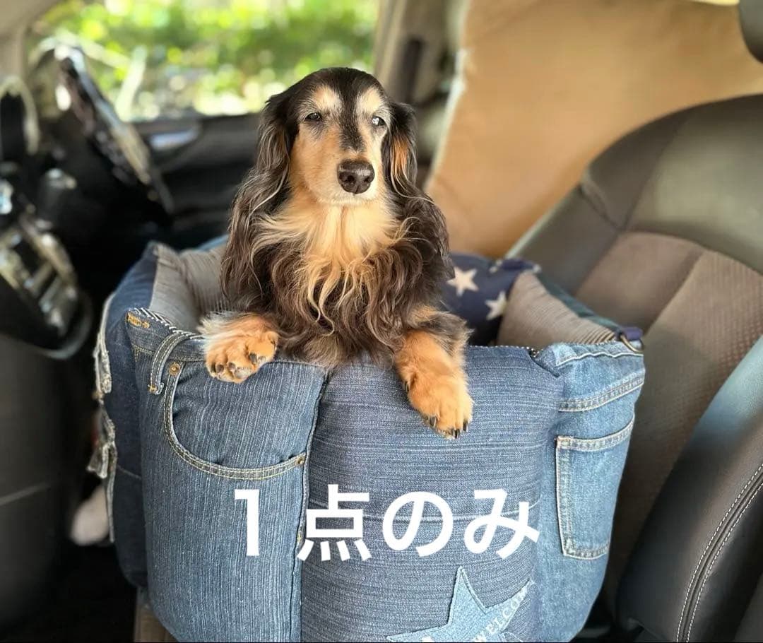 ドライブベッド　高さ約30cm