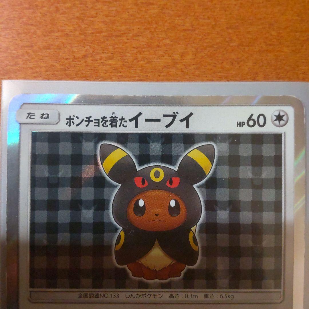 ポンチョを着たイーブイ（ブラッキー）
