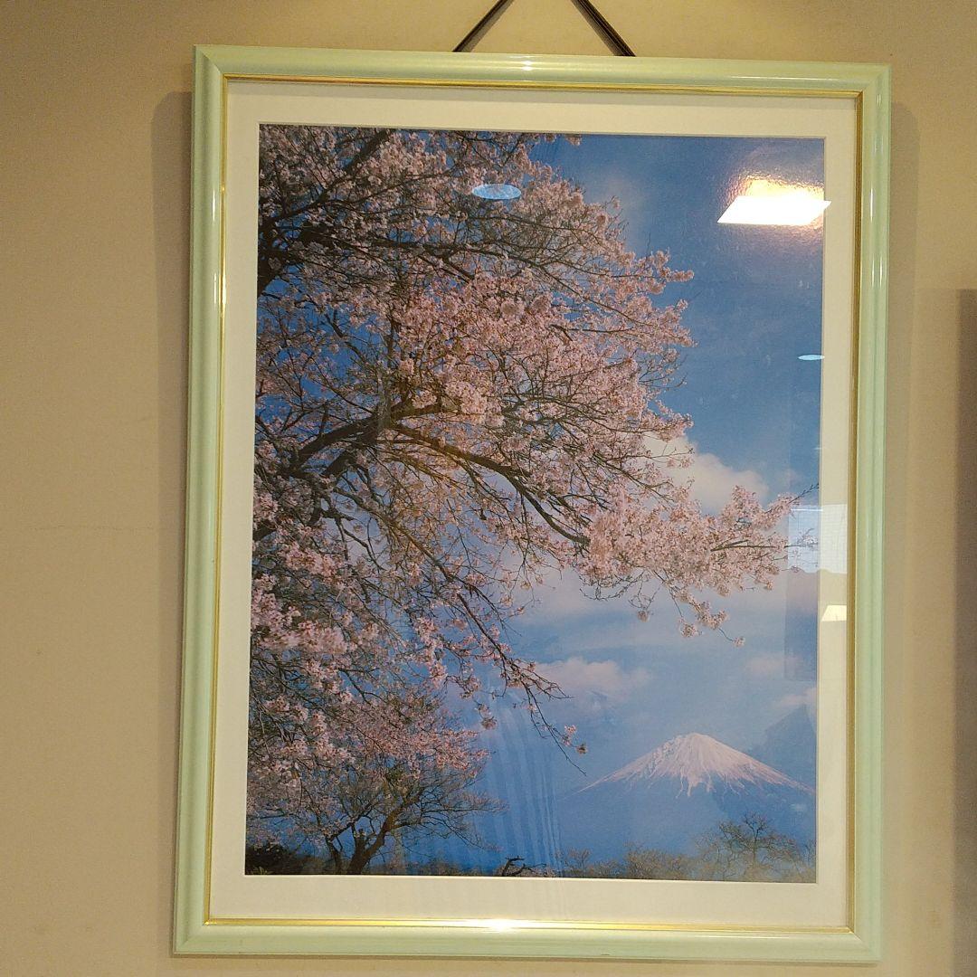 桜と富士山の写真 額入り