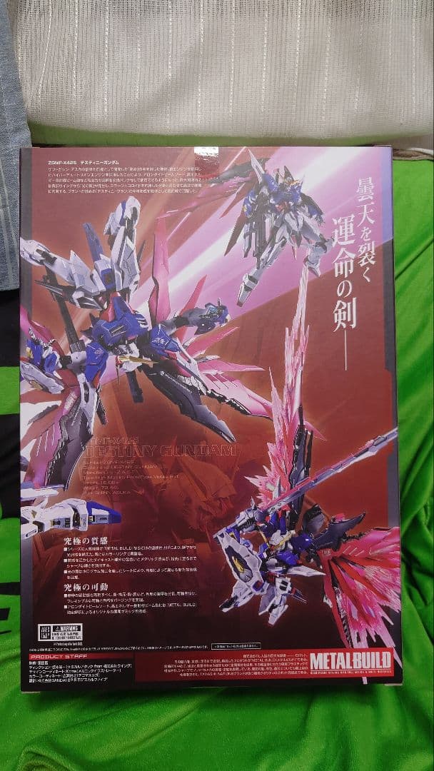 L BUILD デスティニーガンダム（フルパッケージ）2024ver