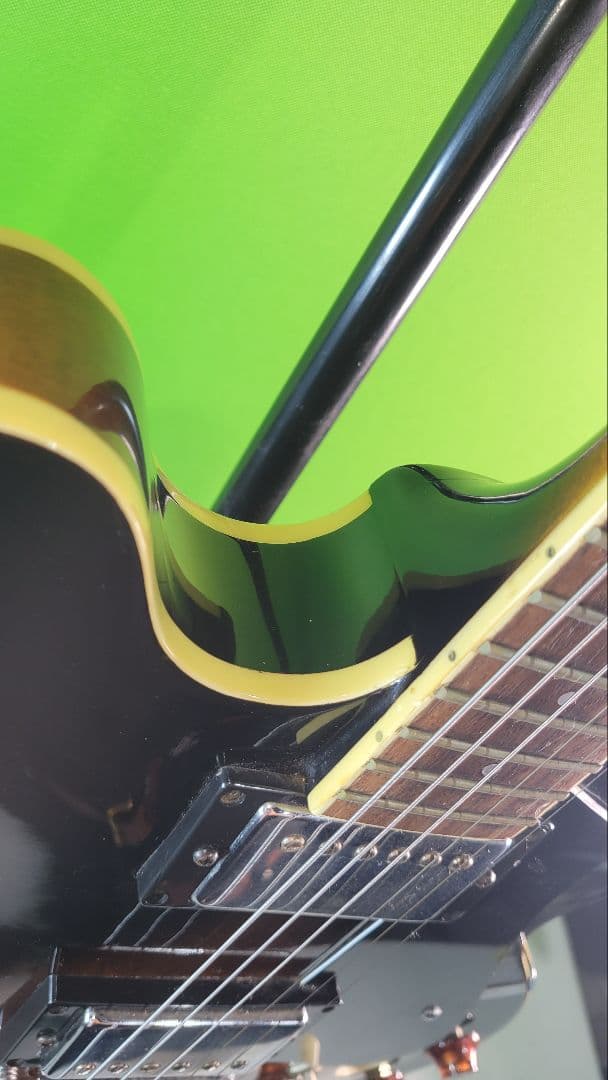 The Samick エレキギター フルホロウボディ