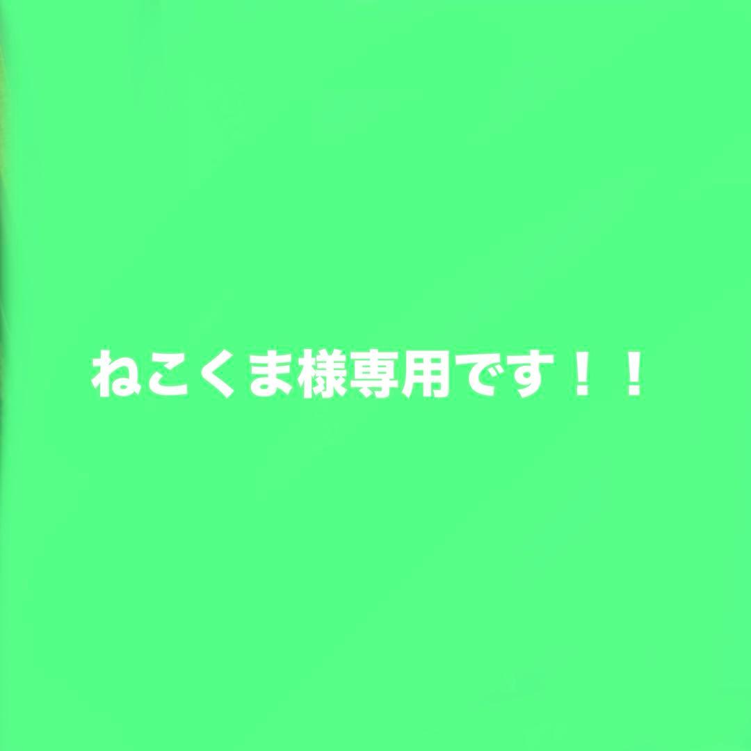 ねこくま