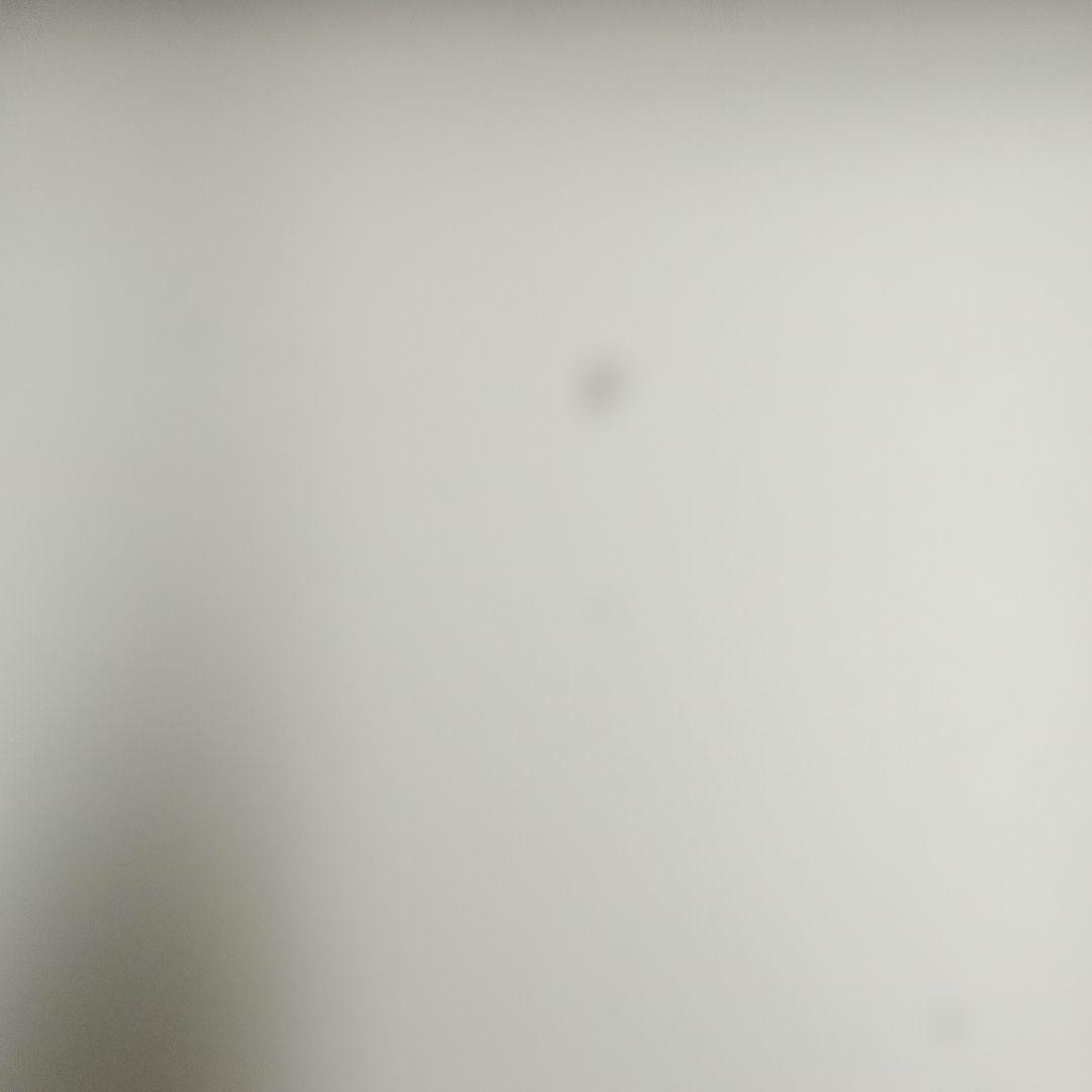 ユキ出品
