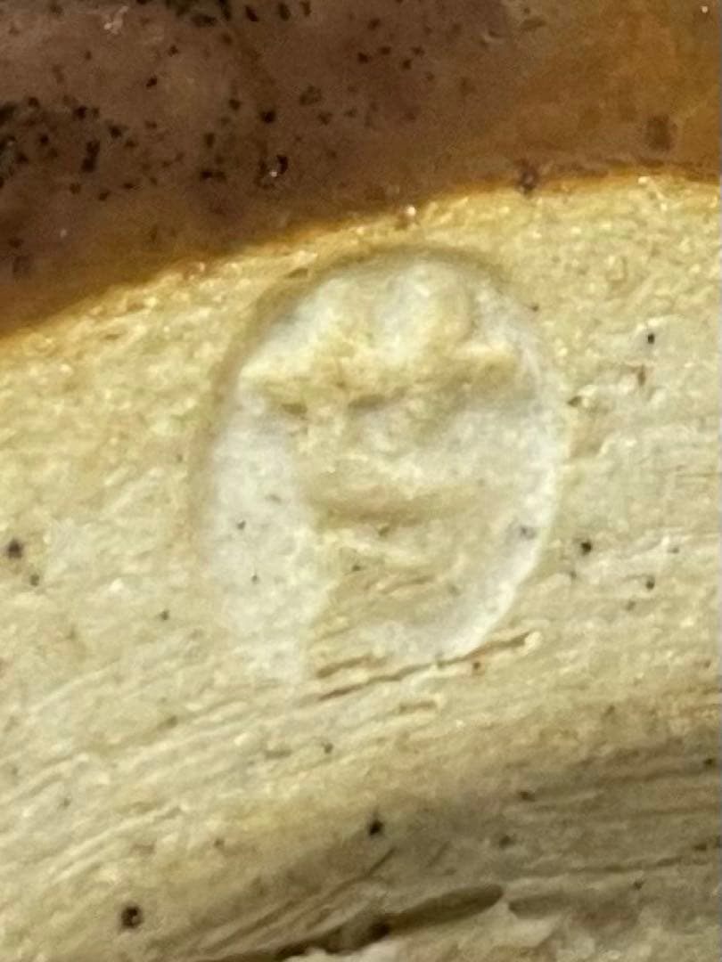 膳所焼　淡海ぜぜ　陽炎園　茄子茶入　仕覆　共箱　共箱(四方桟盛蓋) 　V402