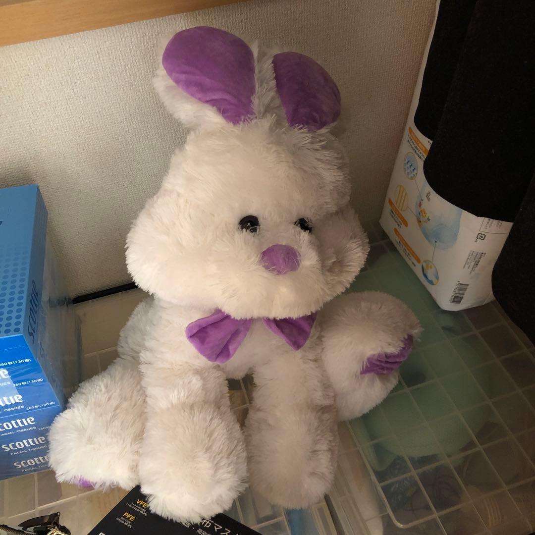 うさぎぬいぐるみ