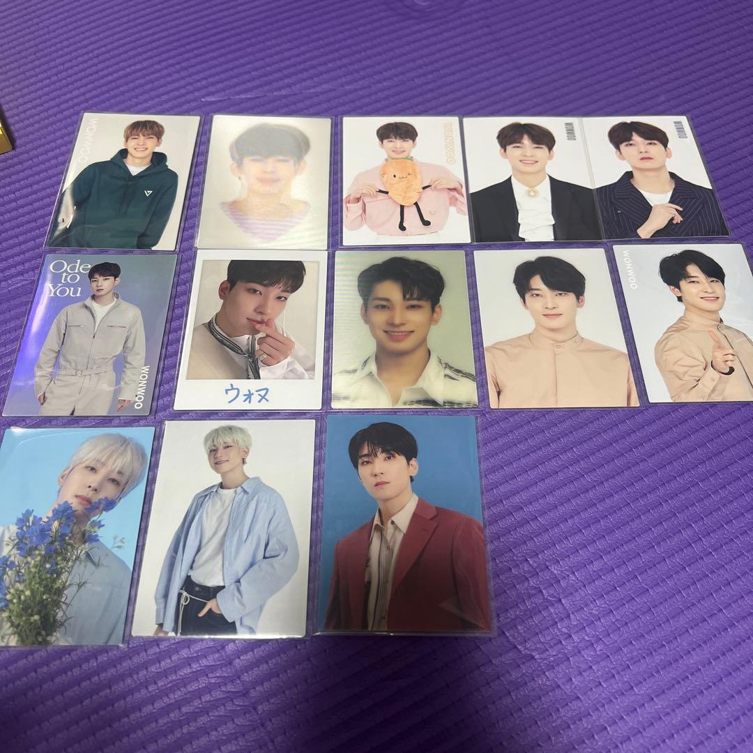 seventeen ウォヌトレカまとめ売り
