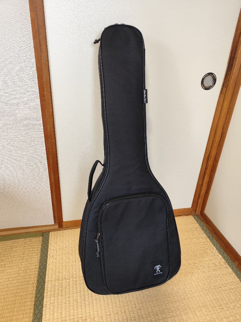 美品 aNueNue M2 アコースティックギター 中古