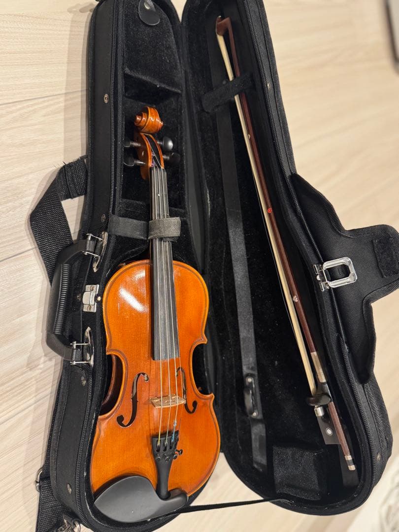 1/8バイオリン EASTMAN VL80 2018年制